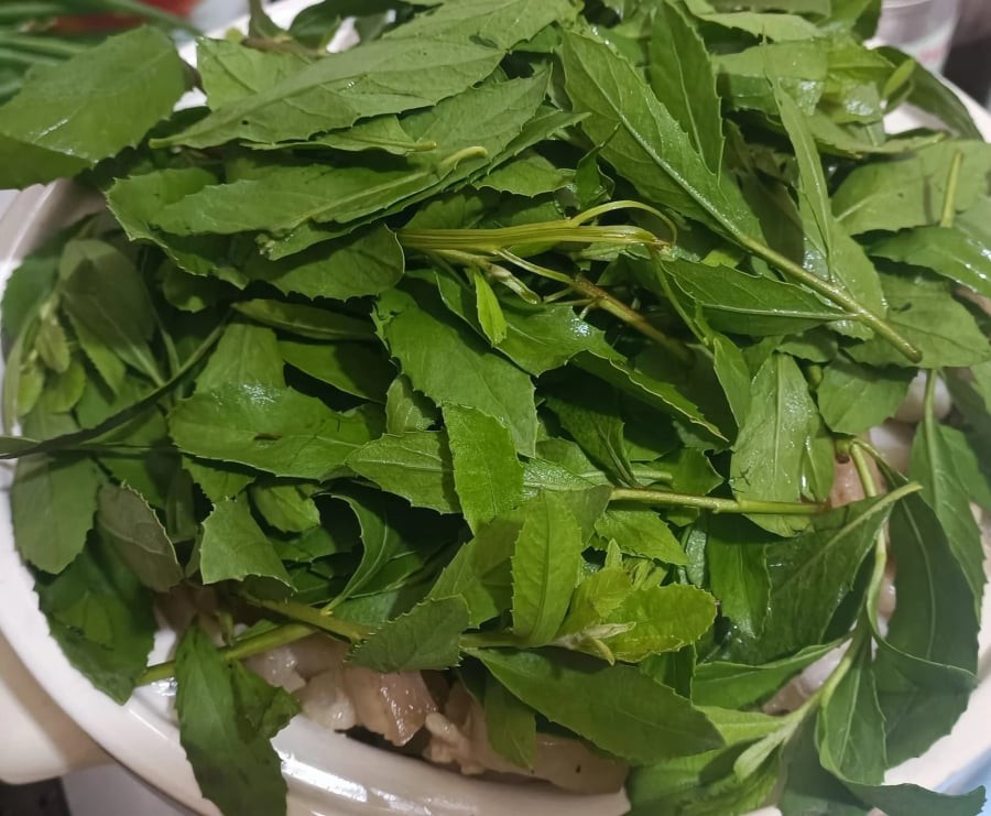 Lá cúc tần ngày nay được chế biến thành nhiều món ăn lạ miệng, thu hút thực khách