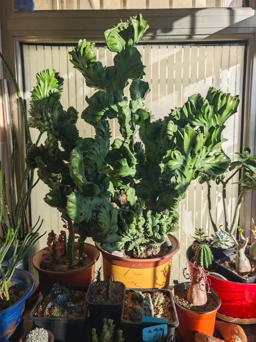 z7684289936058_d26d9dafcbeb5e10669384944c27fcd7