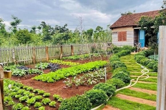  Trường hợp chuyển mục đích từ đất đã là đất ở hoặc đất phi nông nghiệp lâu dài sang mục đích khác phù hợp quy hoạch, không phải nộp tiền sử dụng đất.