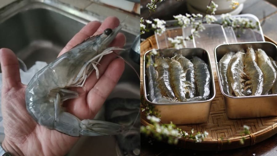 Bạn có thể bảo quản tôm tươi với đường để giữ cho tôm tươi ngon, chắc thịt.