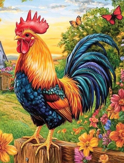 Tuổi Dậu có cơ hội gõ cửa liên tục