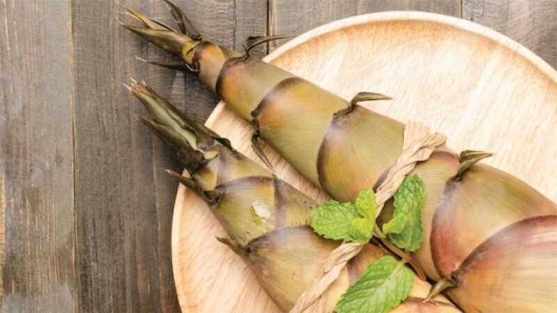 Không chỉ giàu kali, măng tre còn chứa nhiều chất xơ và vitamin, giúp hỗ trợ tiêu hóa. Ảnh minh họa