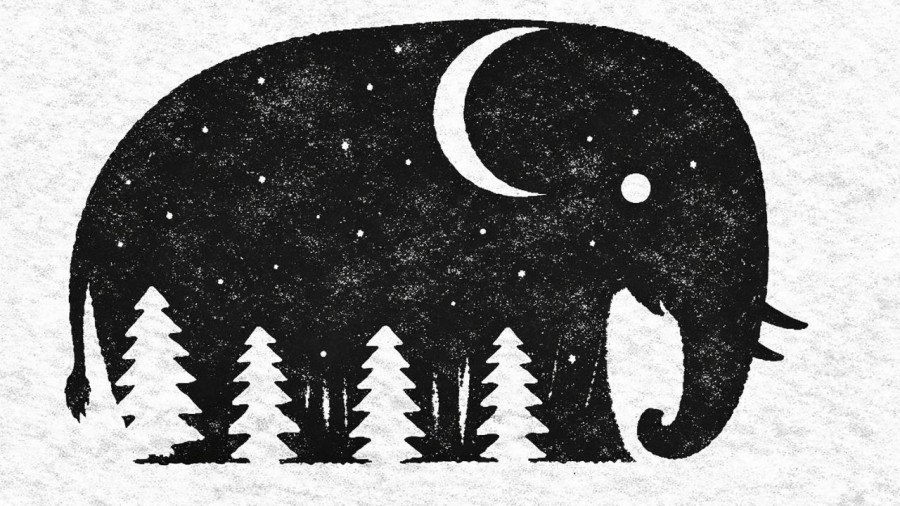 Bạn nhìn thấy hình gì trước?