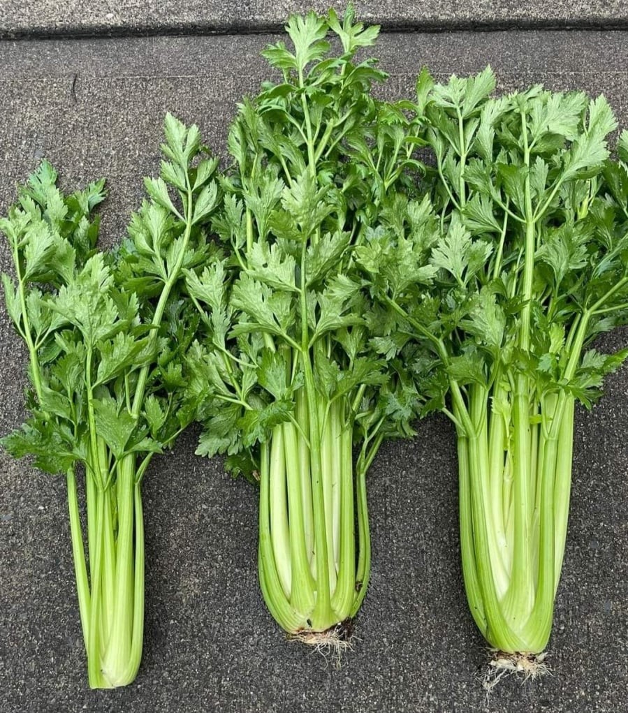 ba06c9d6f840238d8d6c2ec2a1a49bae