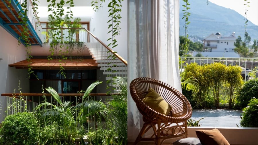 Trồng cây xanh là cách làm mát nhà hiệu quả. 