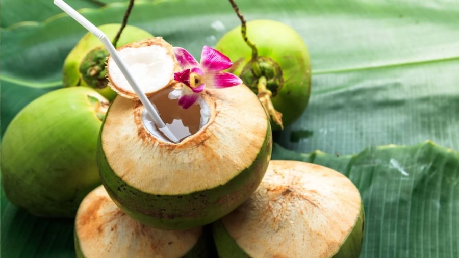 Nước dừa là loại đồ uống có tác dụng giải khát đồng thời mang lại nhiều lợi ích cho sức khỏe.