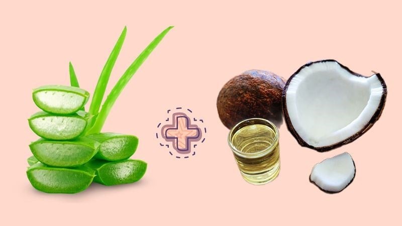 Một trong những lựa chọn được nhiều người thử nghiệm là sự kết hợp giữa nha đam và dầu dừa.