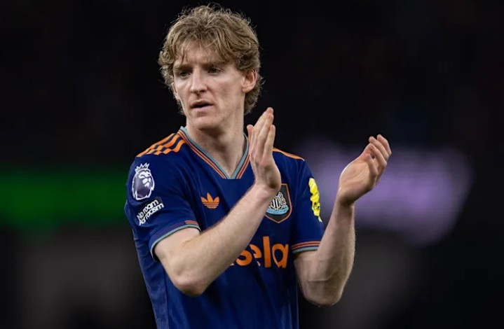 Gordon đang nằm trong tầm ngắm của Arsenal.