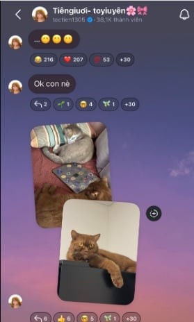 Tóc Tiên hình ảnh công khai 