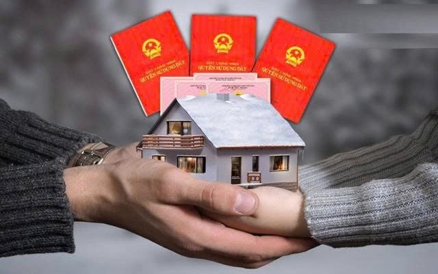 z7735912370409_a8156be30a7027a7c3be3c9482eb16a0