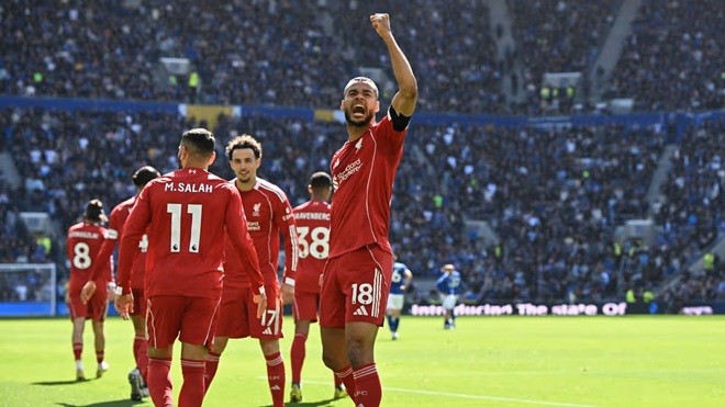 Gakpo đã có pha kiến tạo đẳng cấp.