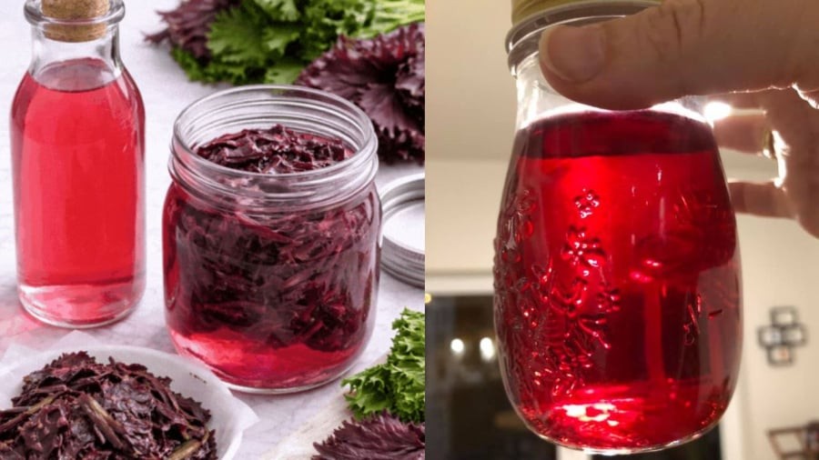 Sau khi ngâm khoảng 2 tuần, bạn có thể thu thành phẩm giấm tía tô.