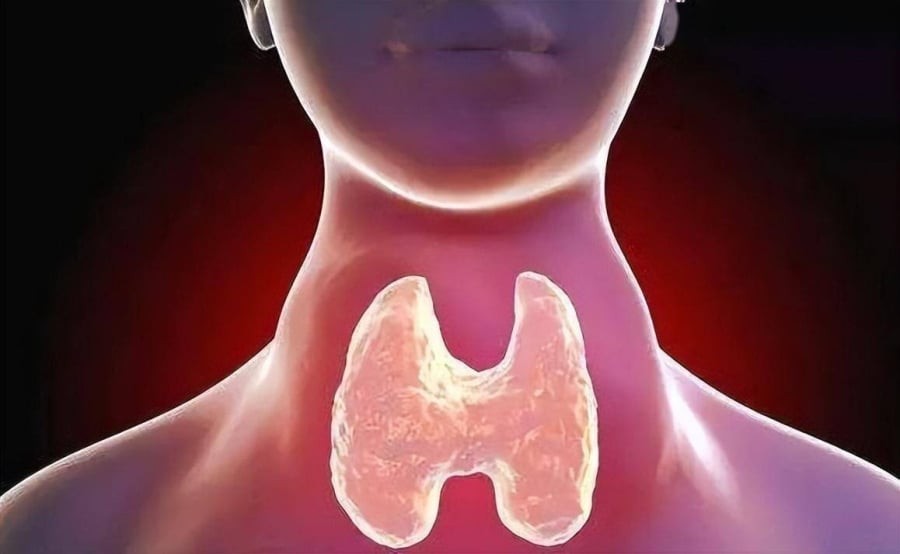 Việc kiêng khem quá mức các nguồn protein chất lượng cao trong thời gian dài có thể dẫn đến hệ quả không mong muốn như suy giảm khối cơ và làm chậm quá trình hồi phục vết thương, chẳng hạn sau phẫu thuật tuyến giáp.