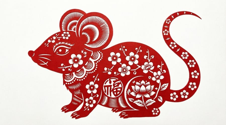 Tuổi Tý có thể đón cơ hội tài chính nếu biết nắm bắt đúng thời điểm