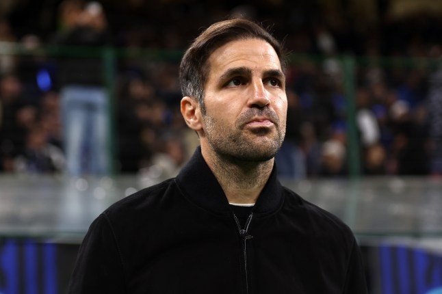 Fabregas được xem là ứng viên hàng đầu cho chiếc ghế nóng tại Chelsea. 