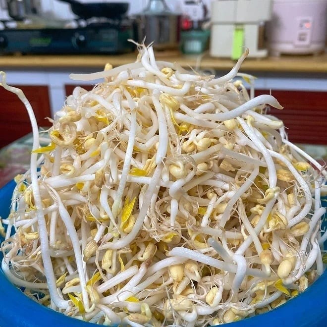  Giá đỗ là loại rau dân dã, rất phổ biến trong bữa ăn của người Việt và nổi tiếng với khả năng thanh nhiệt, giải độc.