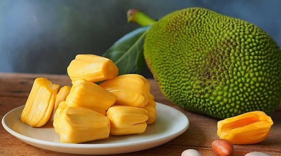 Mít là một trong những loại trái cây nhiệt đới có kích thước lớn, giàu carbohydrate, protein, vitamin B, vitamin C cùng nhiều khoáng chất và chất béo thực vật.