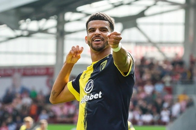 Ảnh Solanke - Bóng Đá