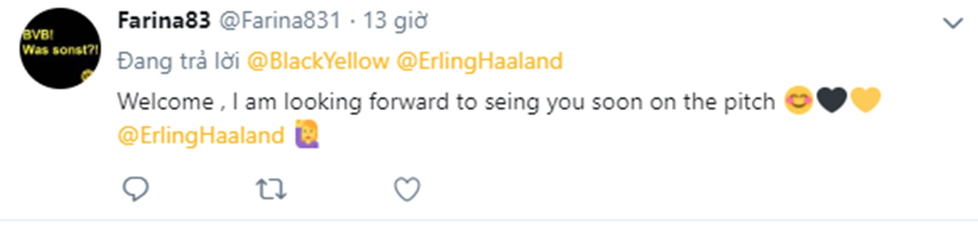 NHM Dortmund nói gì khi chiêu mộ Haaland - Bóng Đá