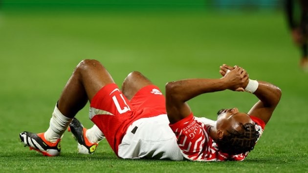 ảnh review Hà Lan vs Scotland - Bóng Đá