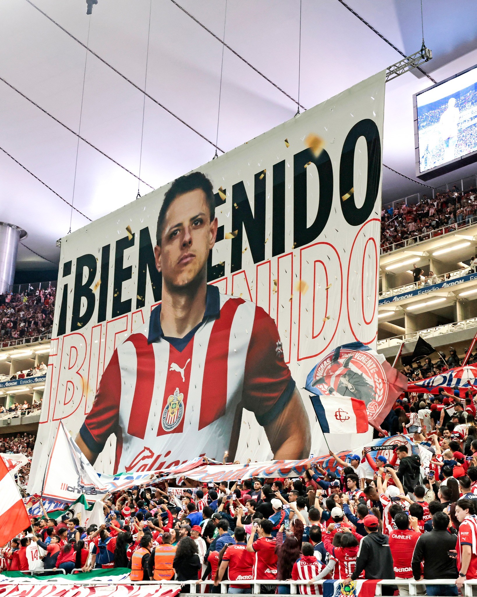 Chicharito bật khóc - Bóng Đá
