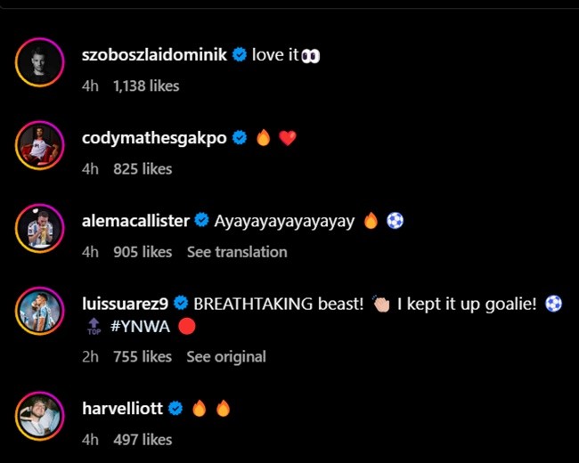 Fernando Torres returns to Liverpool to shadow Jurgen Klopp in training - Bóng Đá