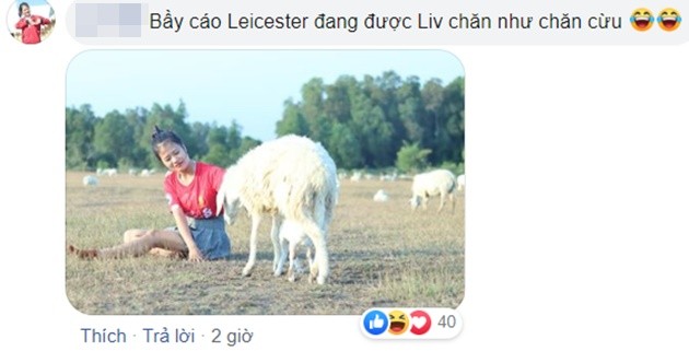 Ảnh chế Premier League - Bóng Đá