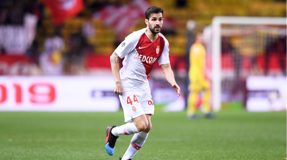 Tạm biệt Cesc Fabregas - Bóng Đá