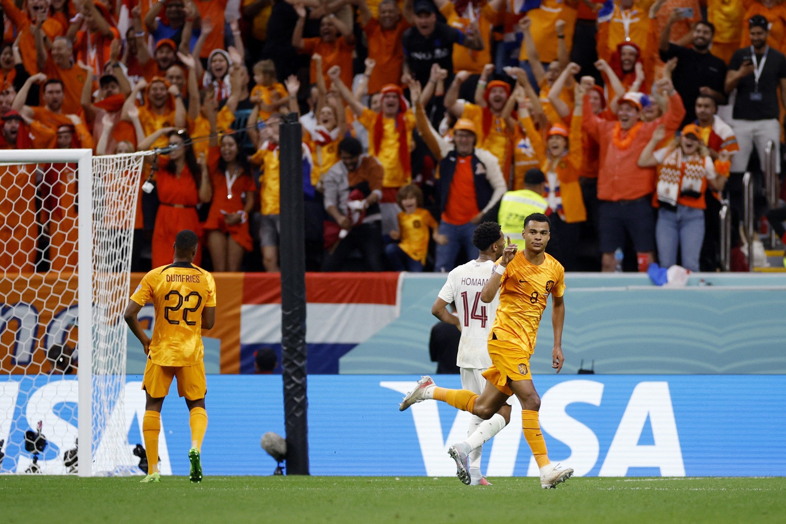 Quá bùng nổ, Gakpo tiếp tục nổ súng khiến Qatar không thể ngẩng đầu - Bóng Đá