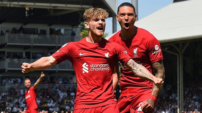 Harvey Elliott defends Darwin Nunez after Liverpool legend's 