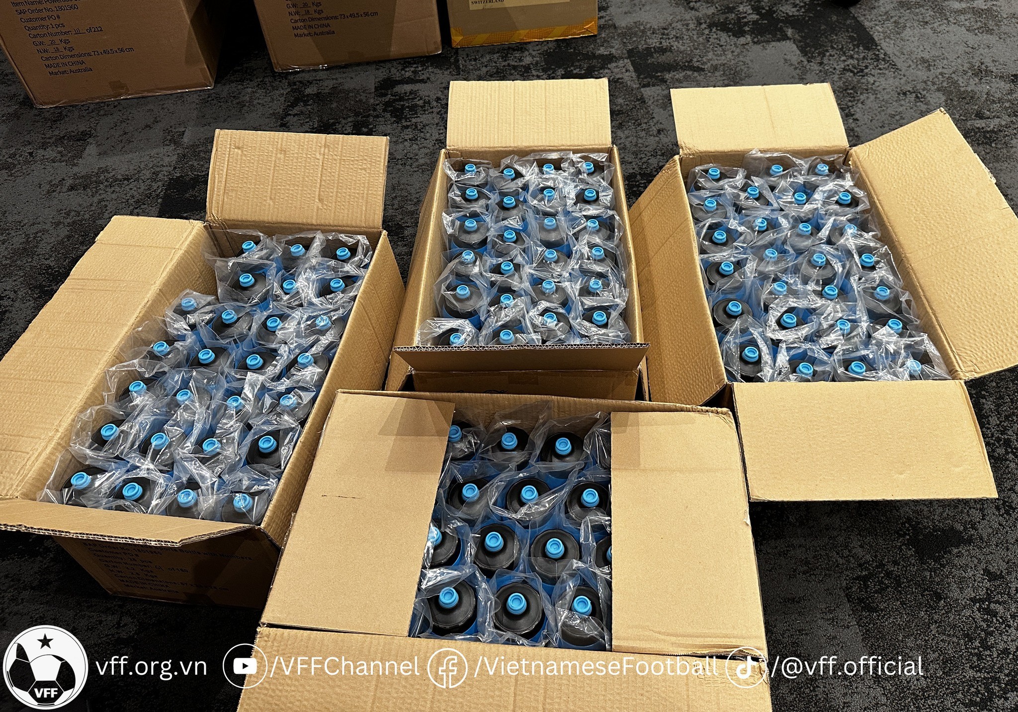 FIFA 'chăm sóc' đặc biệt với tuyển nữ Việt Nam - Bóng Đá