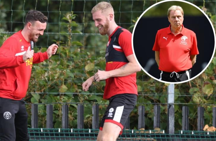 Harry Redknapp urges Sheffield United to target 'erratic' Man United player - Bóng Đá