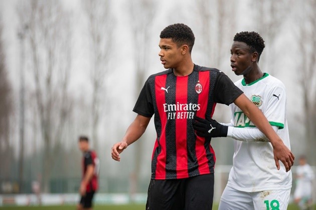 ARSENAL HAVE SECOND CHANCE TO SIGN A STRIKER ZLATAN CALLED ‘THE FUTURE’ (Emil Roback) - Bóng Đá