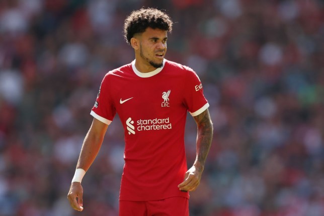 Father of Liverpool star Luis Diaz to be released by Colombian rebel group ‘as soon as possible’ after kidnapping - Bóng Đá