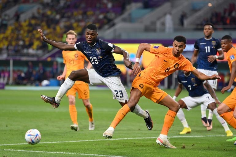 Manchester United have been linked with a move for Brighton & Hove Albion midfielder Moises Caicedo for a long time. - Bóng Đá