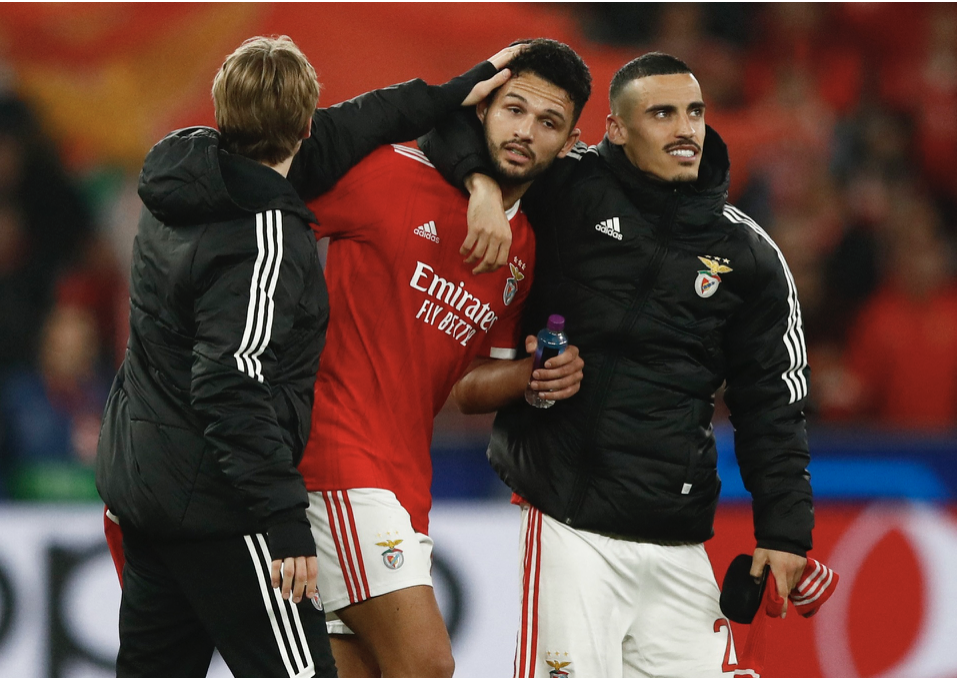 Ngôi sao góp công giúp Benfica thành hiện tượng Champions League - Bóng Đá