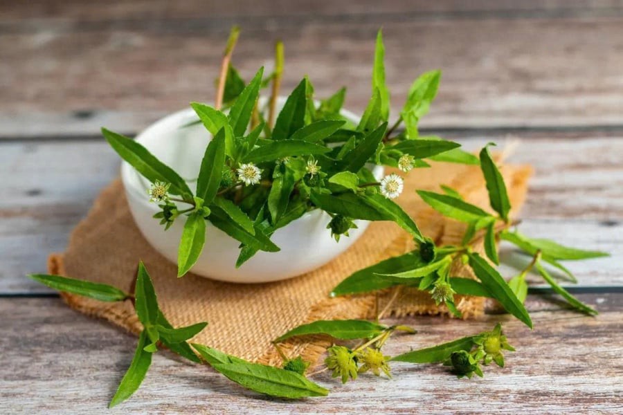 z7764783479754_afc3287cd06a3fe209c60b44717ce9bf