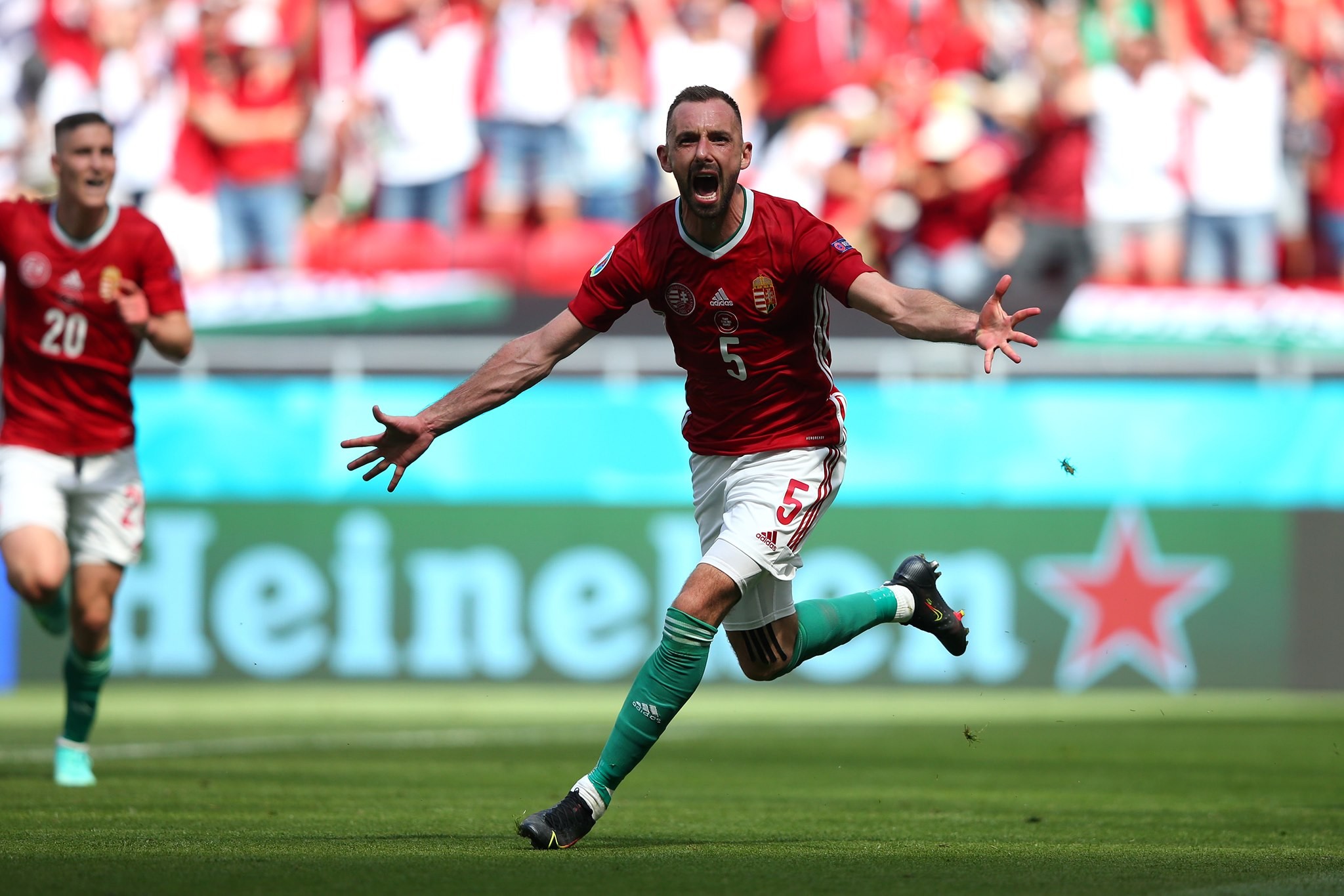 2 điều điên rồ xuất hiện ở trận Hungary 1-1 Pháp - Bóng Đá