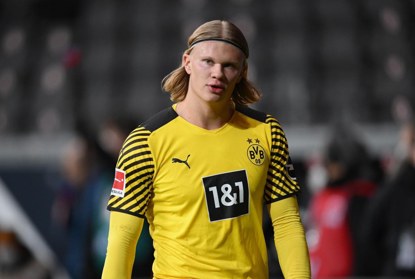 Erling Haaland: 