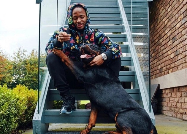 Đội hình Italia chạm trán Bulgaria: 