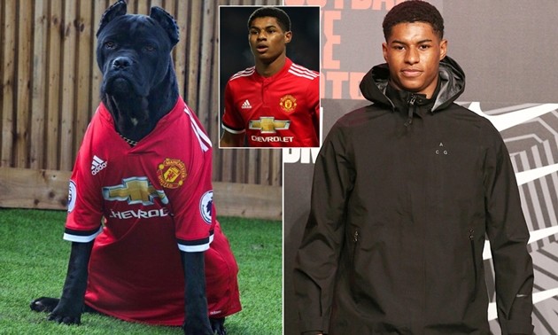 Đội hình Italia chạm trán Bulgaria: 