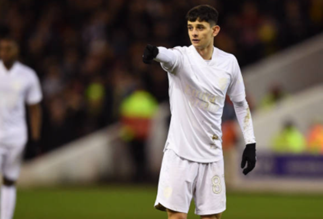 Watch as Dele Alli takes guard dog out for a walk after England ace was robbed and beaten by knife-wielding thieves - Bóng Đá