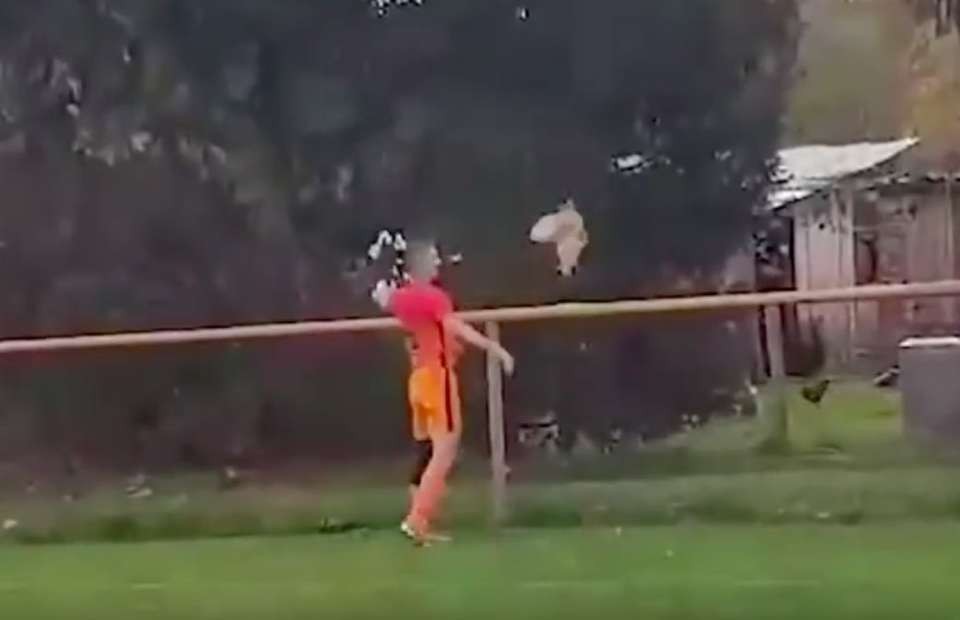 Croatian semi-professional footballer sent off for killing a chicken - Bóng Đá