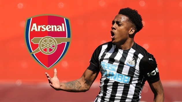 New Joe Willock claims arrive from Sky Sports – Good & bad news for Newcastle United? - Bóng Đá