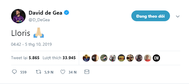 Lloris chấn thương quá 