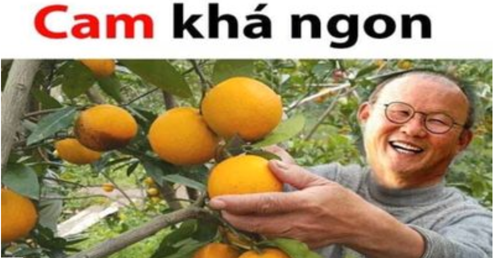 Ảnh chế trận Việt Nam vs Campuchia - Bóng Đá