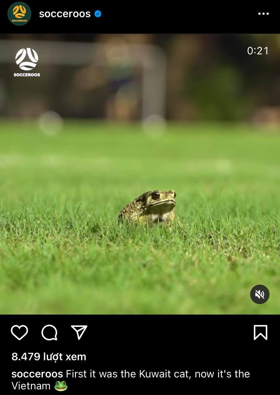 Lee Gaskin on Vietnam grass - Bóng Đá
