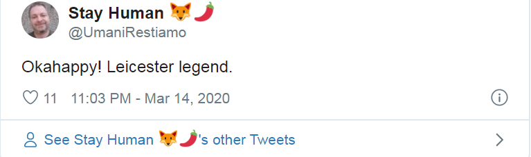 Fan Leicester City: 