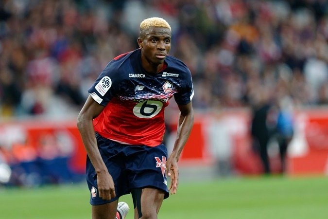 Lille receive £75m for Liverpool target Osimhen - Bóng Đá