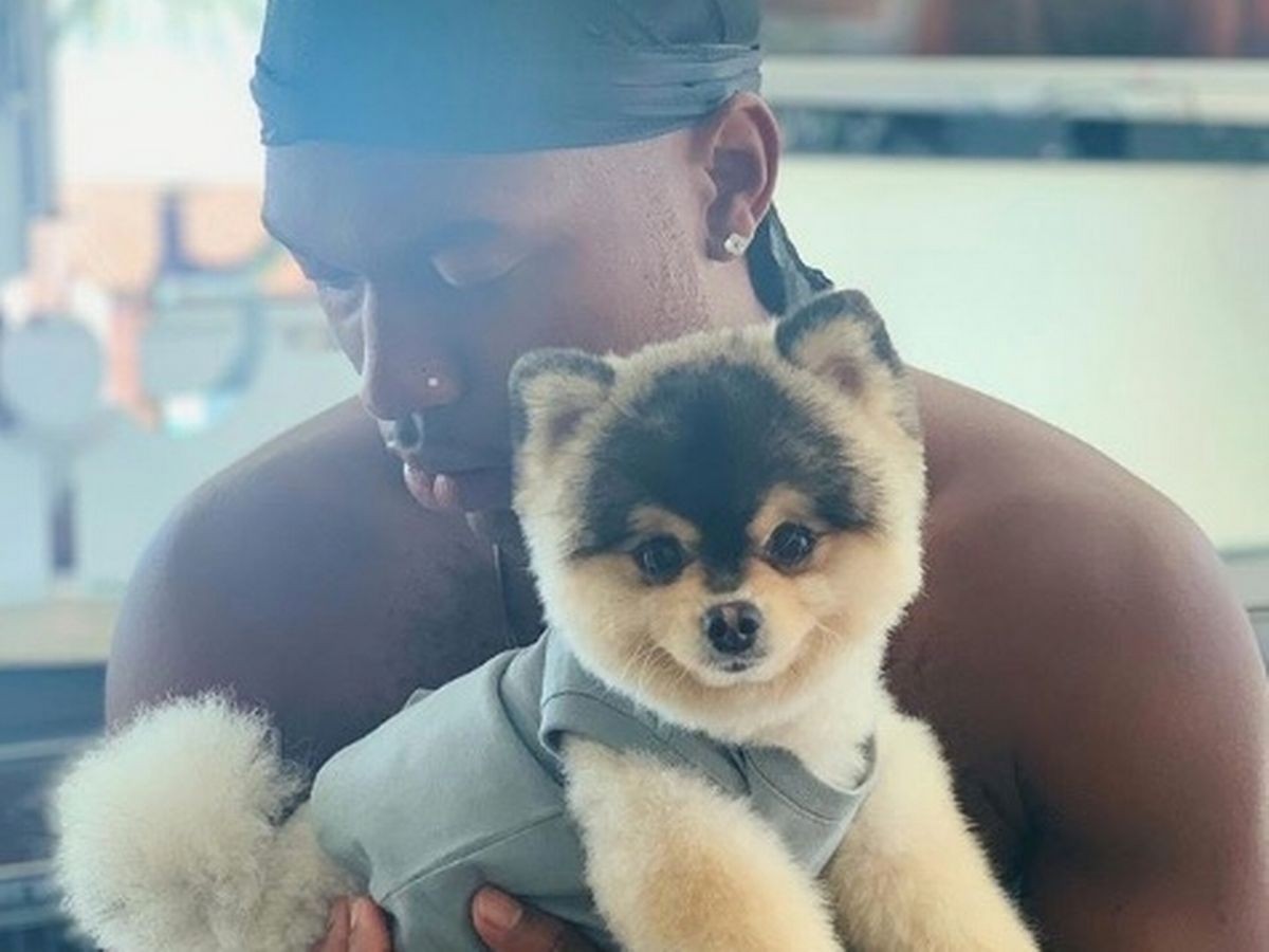 'I WANT HIM BACK' Daniel Sturridge offers £30,000 reward for return of stolen dog as former Liverpool striker makes emotional plea - Bóng Đá